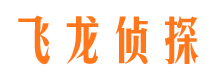 石首侦探